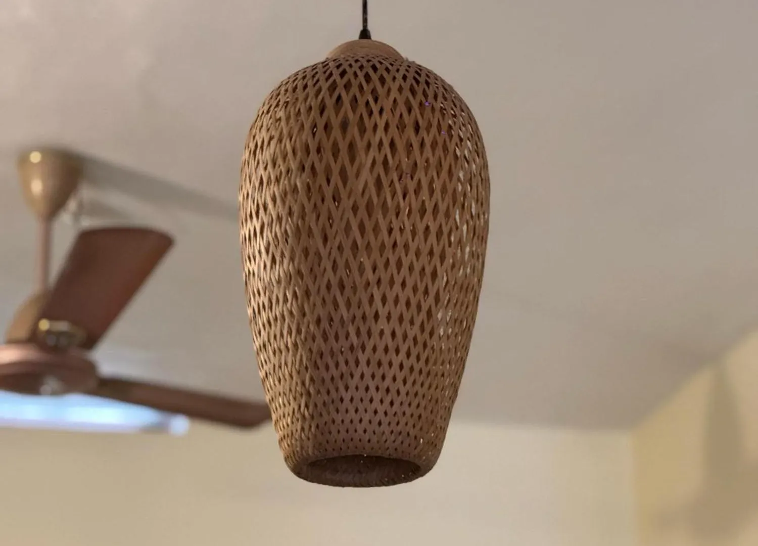 Moon Villa 01 Varkala 3Bhk With Kitchen 印度